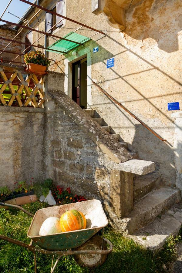 Rural Apartment Carolina Zrenj Exteriér fotografie